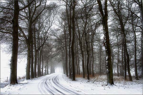How to Productively Deal with Winter Blues | ProductiveMuslim